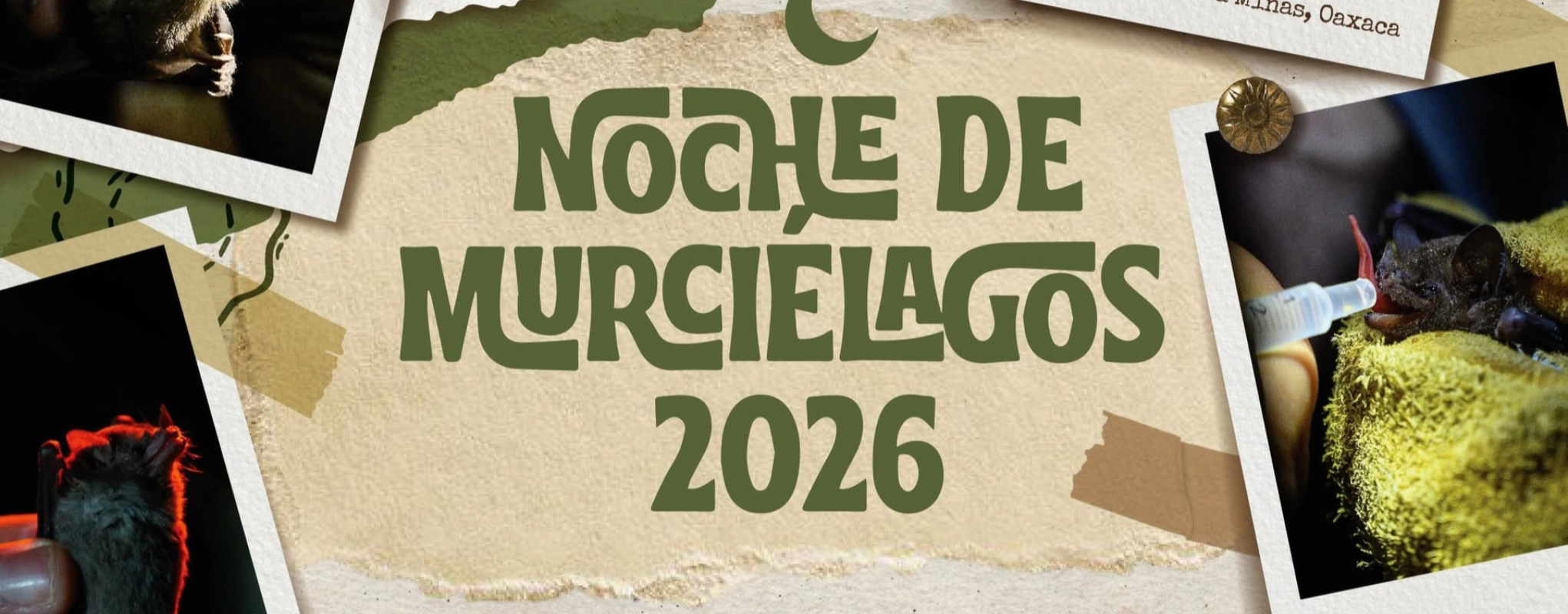 Diseño sin título (2)