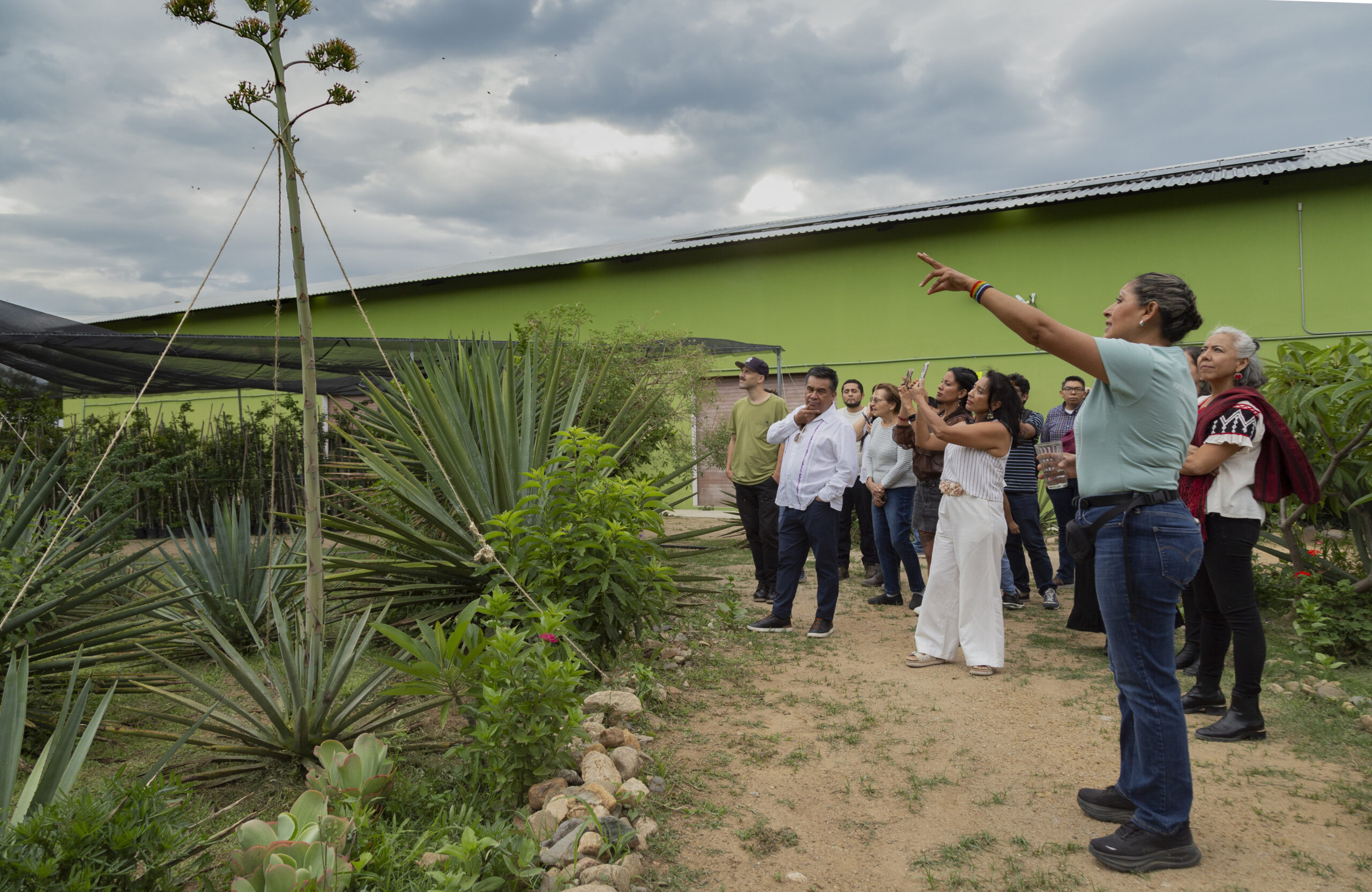 Fotografía de Manuel Jiménez