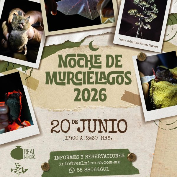 Fotografía eventos_1