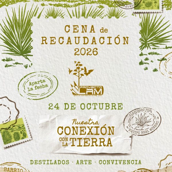 Fotografía eventos_1